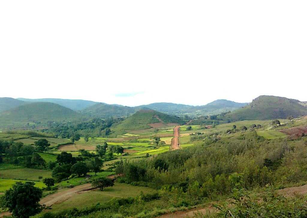 Araku Valley