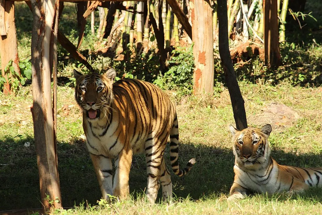 Indira Gandhi Zoological Park